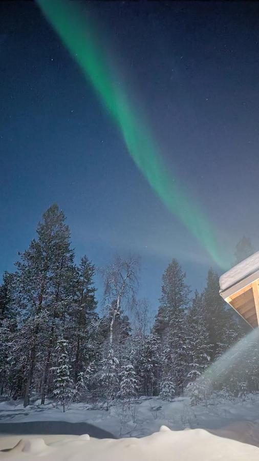 Hallahaukka Ivalo Bagian luar foto