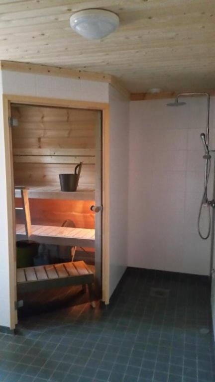 Hallahaukka Ivalo Bagian luar foto